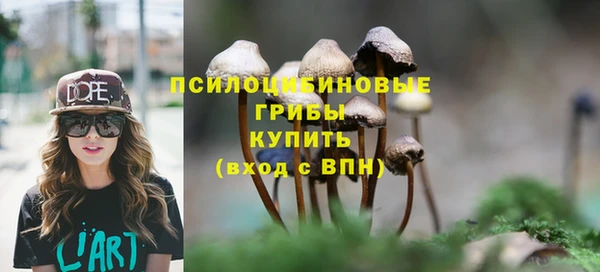 мяу мяу кристалл Арсеньев