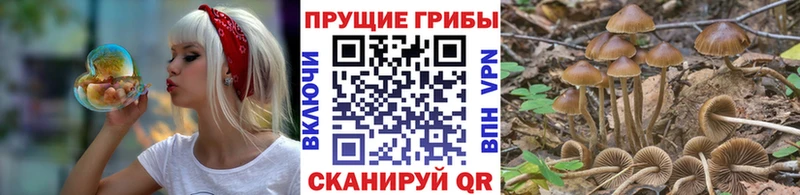 где найти наркотики  Нарткала  Галлюциногенные грибы Cubensis 