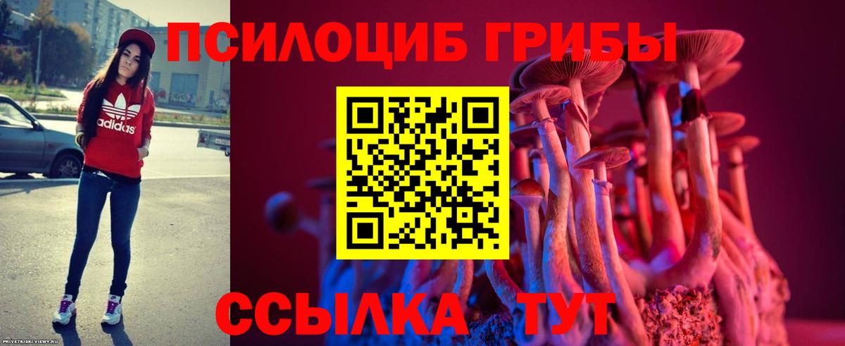 Псилоцибиновые грибы мицелий  Вход с VPN  Нарткала 